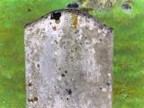 image of grave number 828418